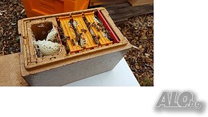 image_3