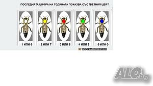image_8
