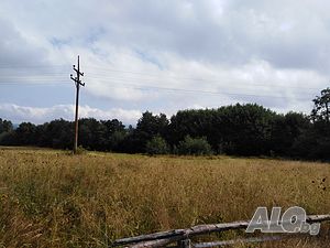 Продава земеделска земя м-т Цигов Чарк