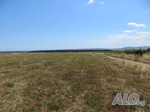 image_3