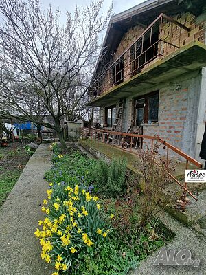 image_5