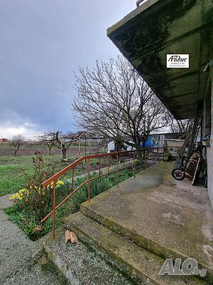 image_7