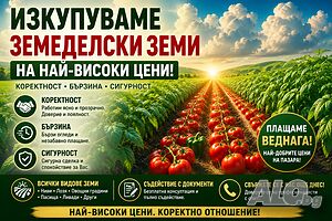 Купувам ЗЕМЕДЕЛСКА ЗЕМЯ всички землища област Пловдив
