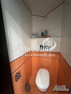 image_11