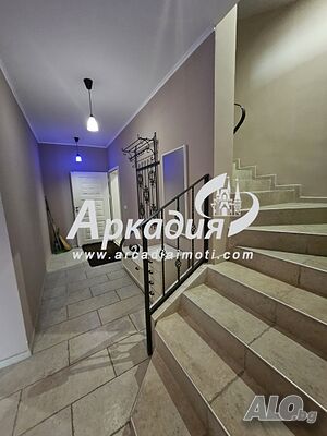 image_7