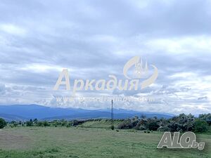 image_6