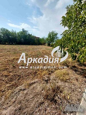 image_2