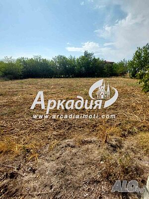 image_3