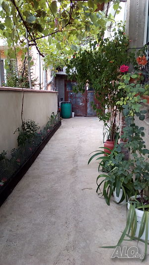 image_9