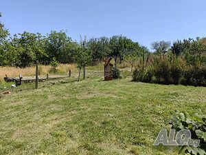 image_11
