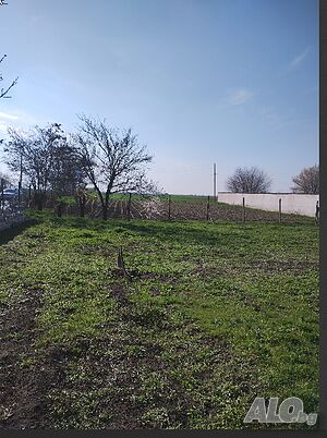 image_9