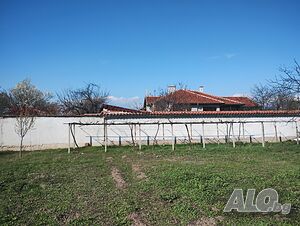 image_8