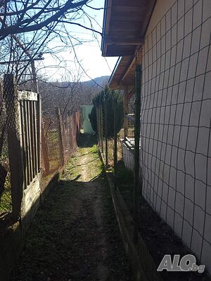 image_8