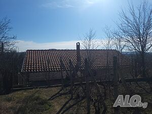 image_10