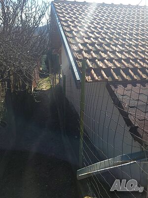 image_9