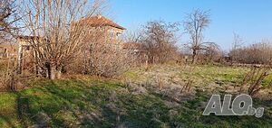image_9