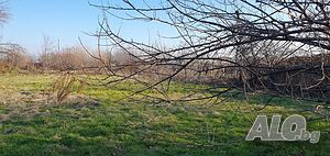 image_10