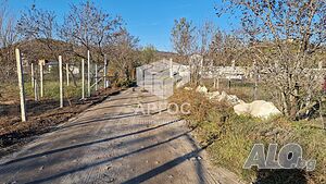 image_12