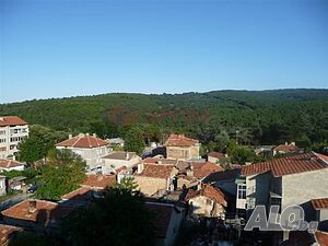 image_8