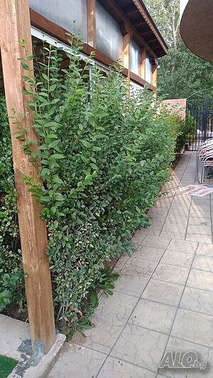image_14