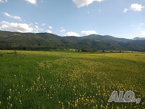 Земя в планински район - село Говедарци
