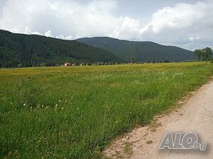 image_3
