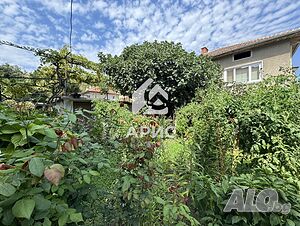 image_10