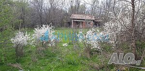 image_10