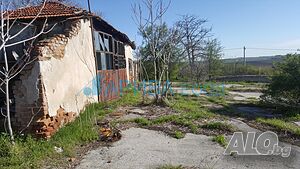 image_3