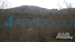 image_5