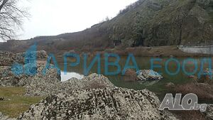 image_10