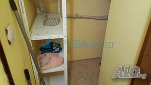 image_11
