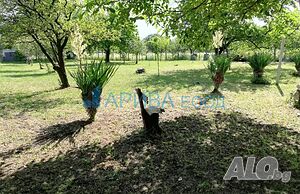 image_5