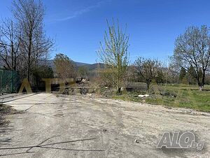 image_6
