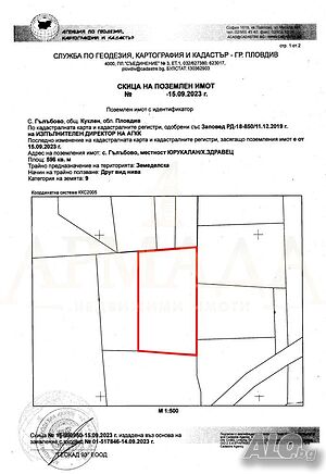 image_7