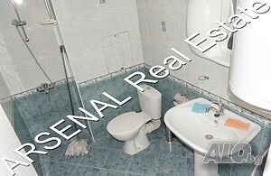 image_6