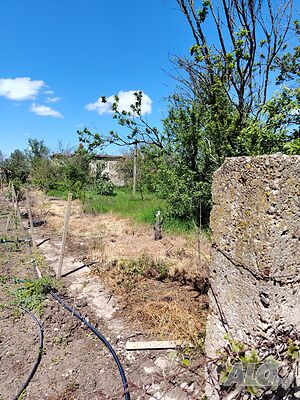 Къща с двор в село Окоп, обл. Ямбол