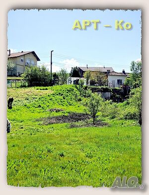 image_6