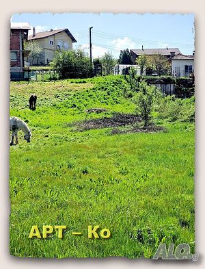 image_9