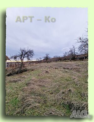 image_8