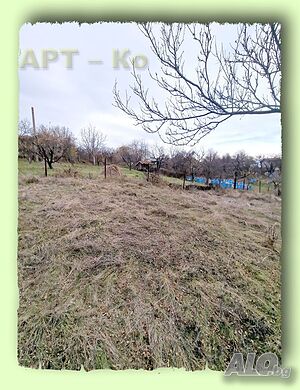 image_12