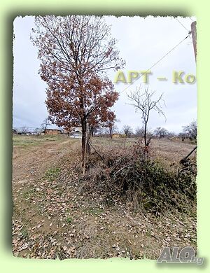 image_15
