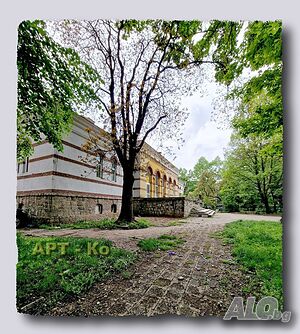 image_6