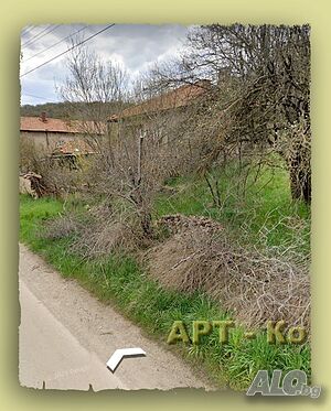image_3