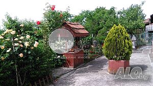 image_11
