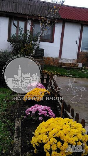 image_14