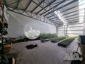 image_3