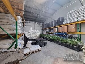 image_6