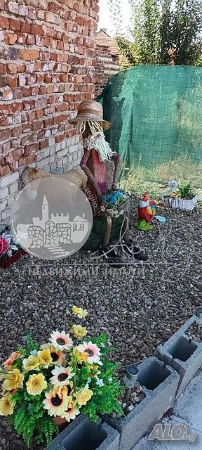 image_11