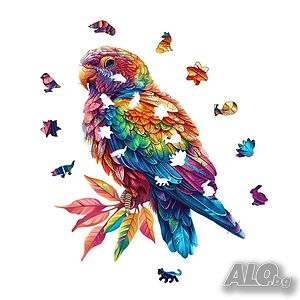image_3